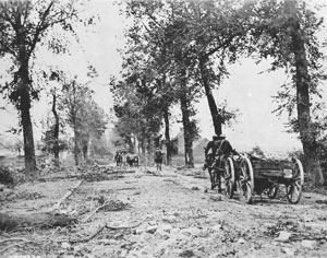 Sur la route d'Arras à Cambrai.