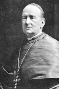 Cardinal Bégin